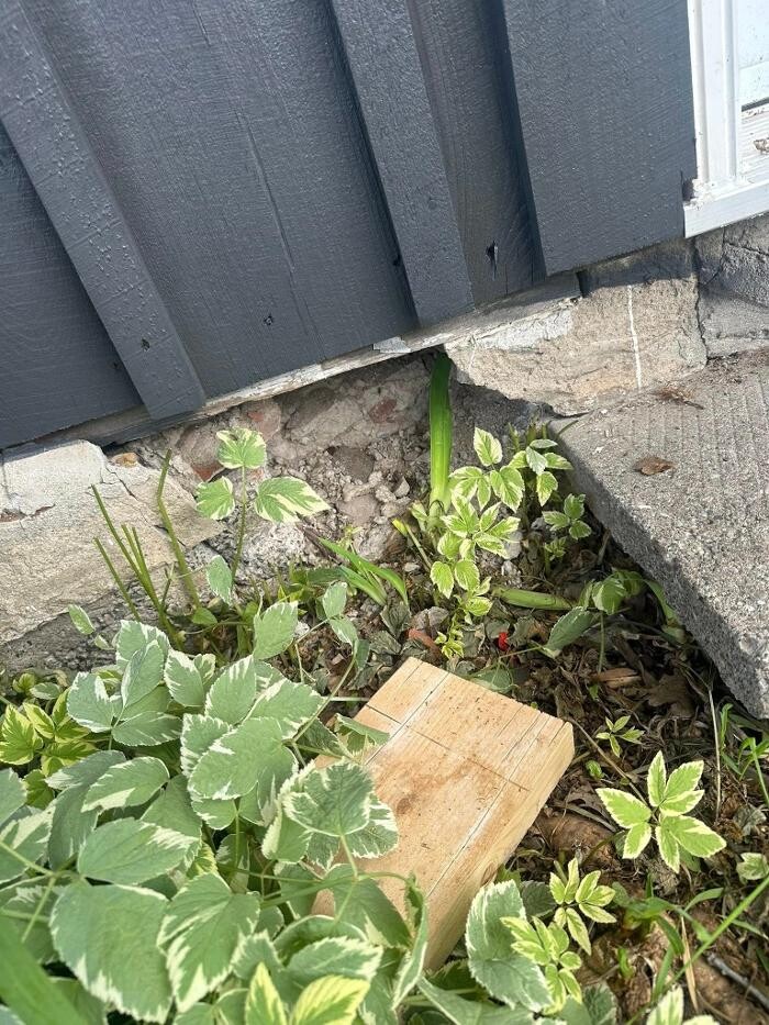 Images Sicker's Top Notch Masonry