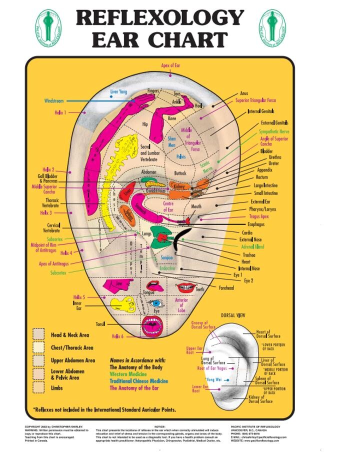 Images Pacific Institute of Reflexology
