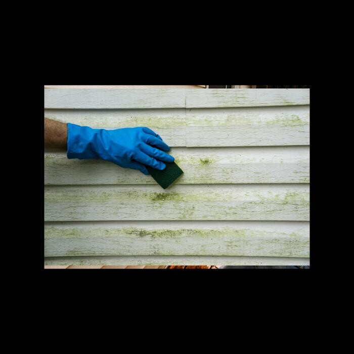 Images Town & Country Window Cleaning