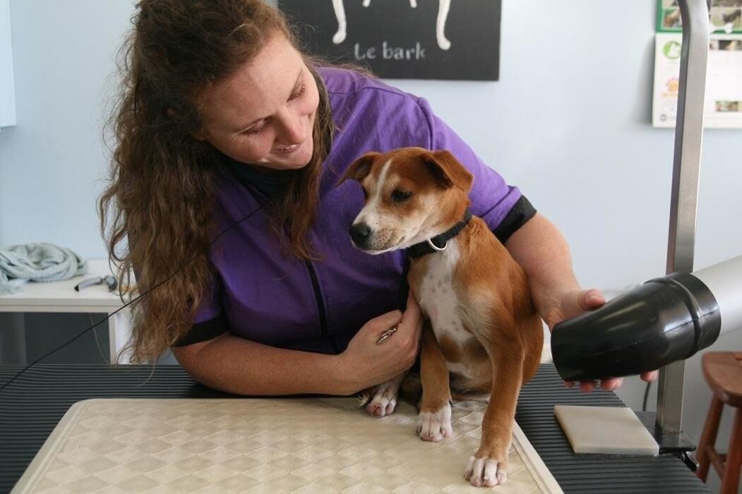 Images Pooches N' Pals Inc