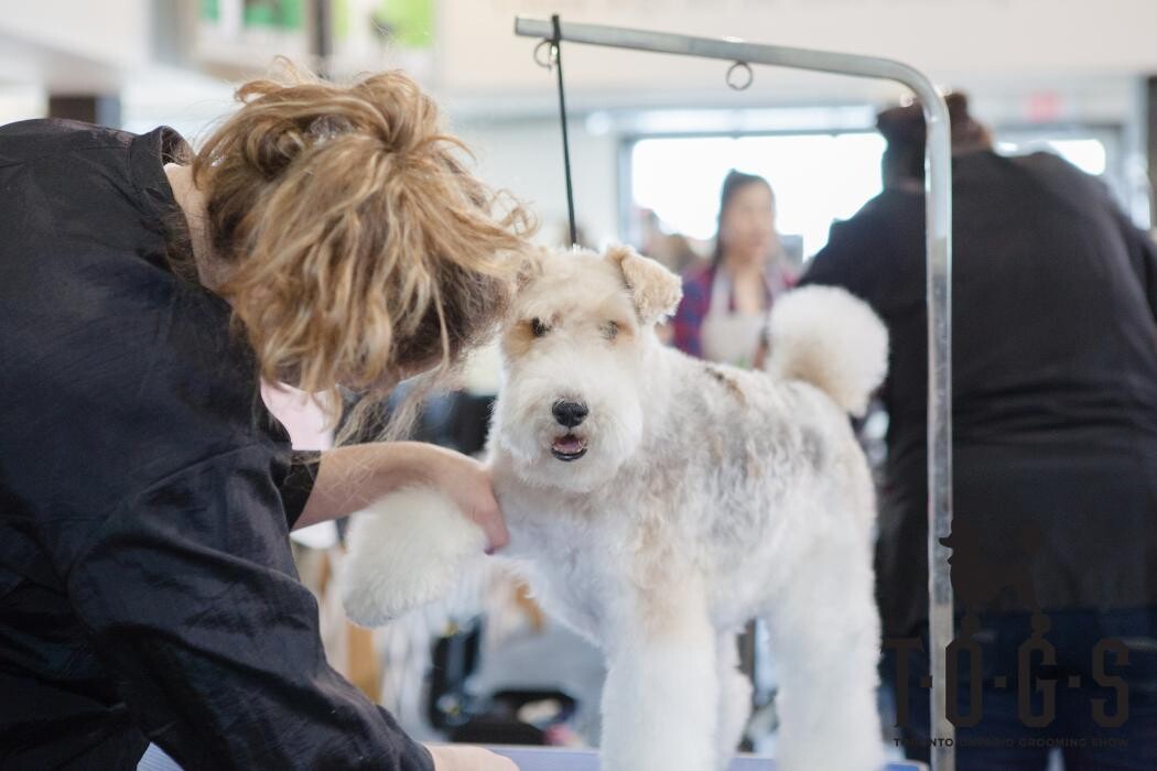 Images Pooches N' Pals Inc