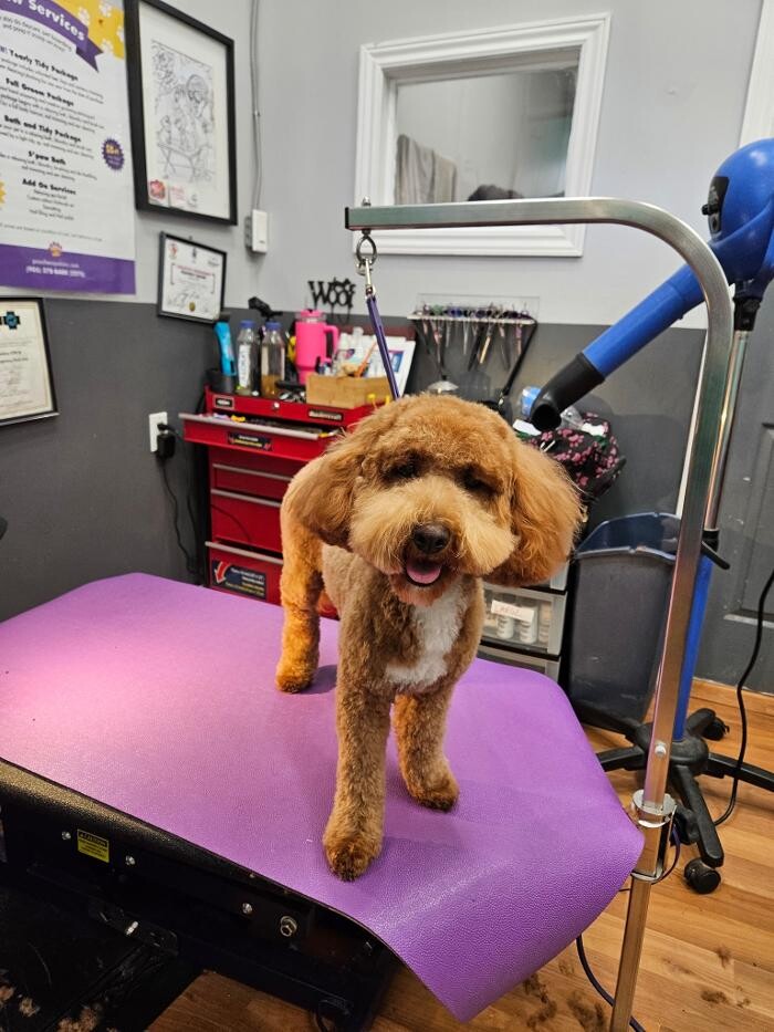 Images Pooches N' Pals Inc