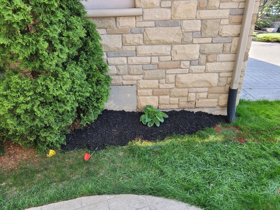 Images Castillo Landscaping