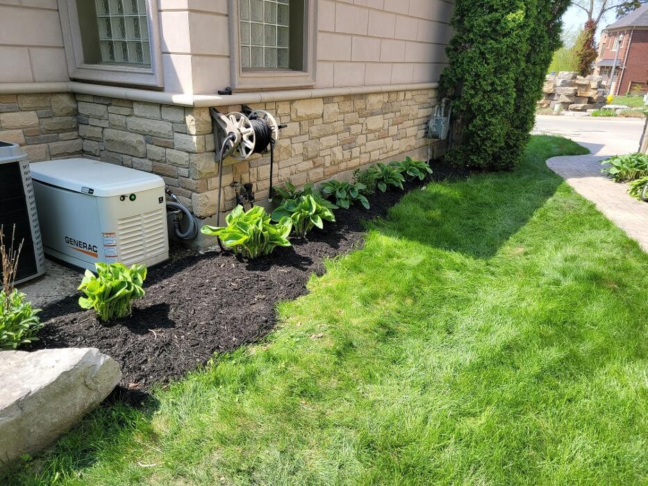 Images Castillo Landscaping