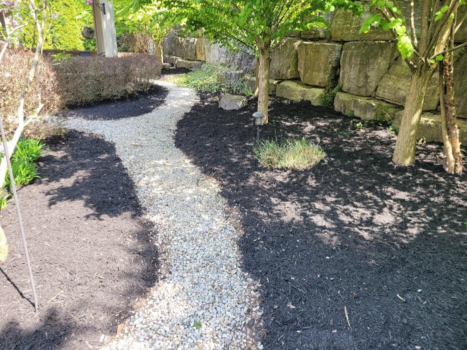 Images Castillo Landscaping