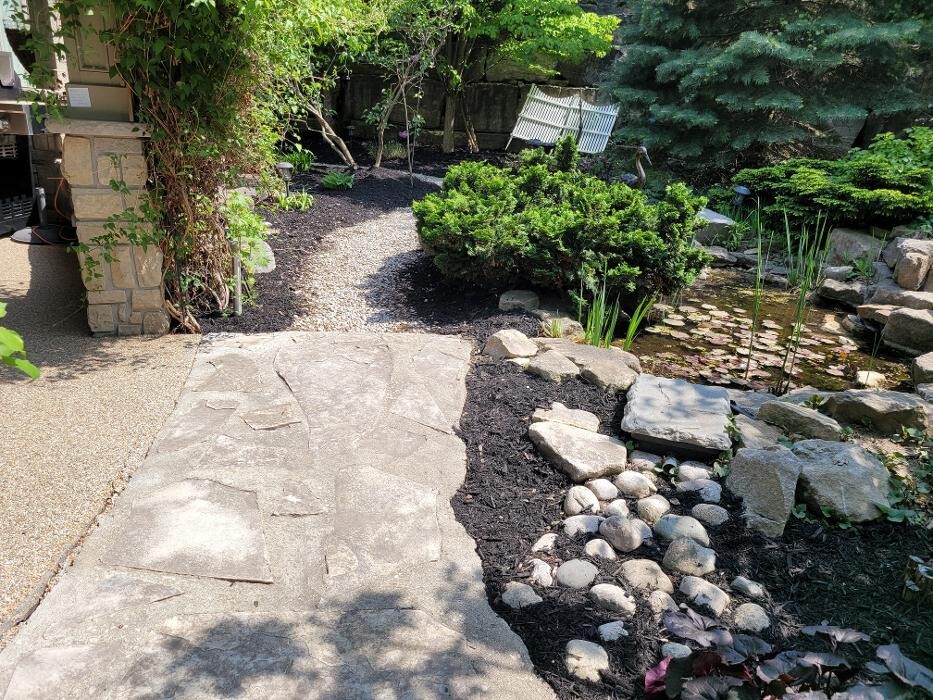 Images Castillo Landscaping