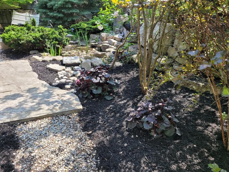 Images Castillo Landscaping