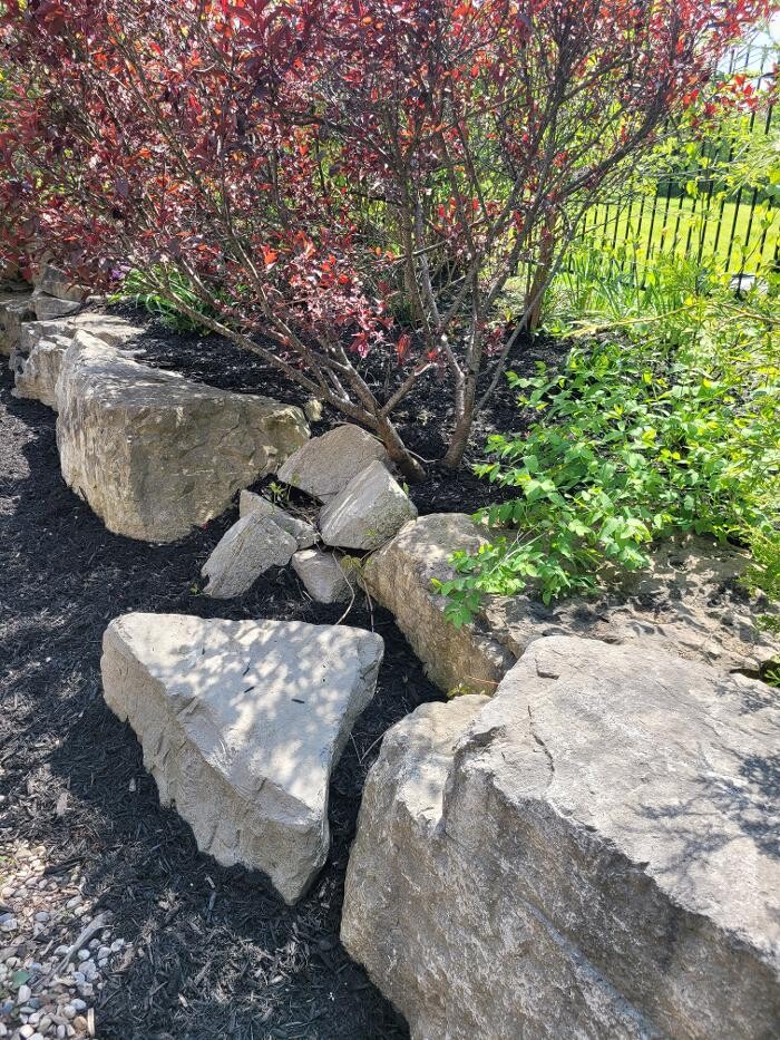 Images Castillo Landscaping