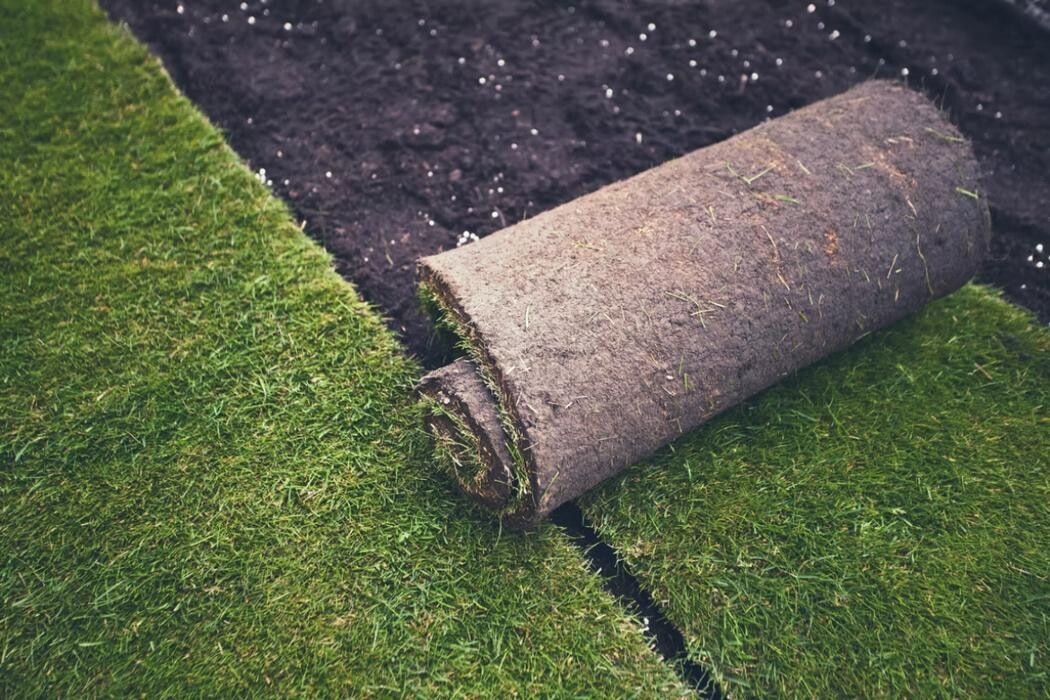 Images Calgary Level Up Landscaping Inc.
