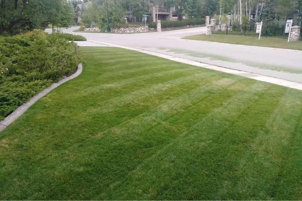Images Calgary Level Up Landscaping Inc.