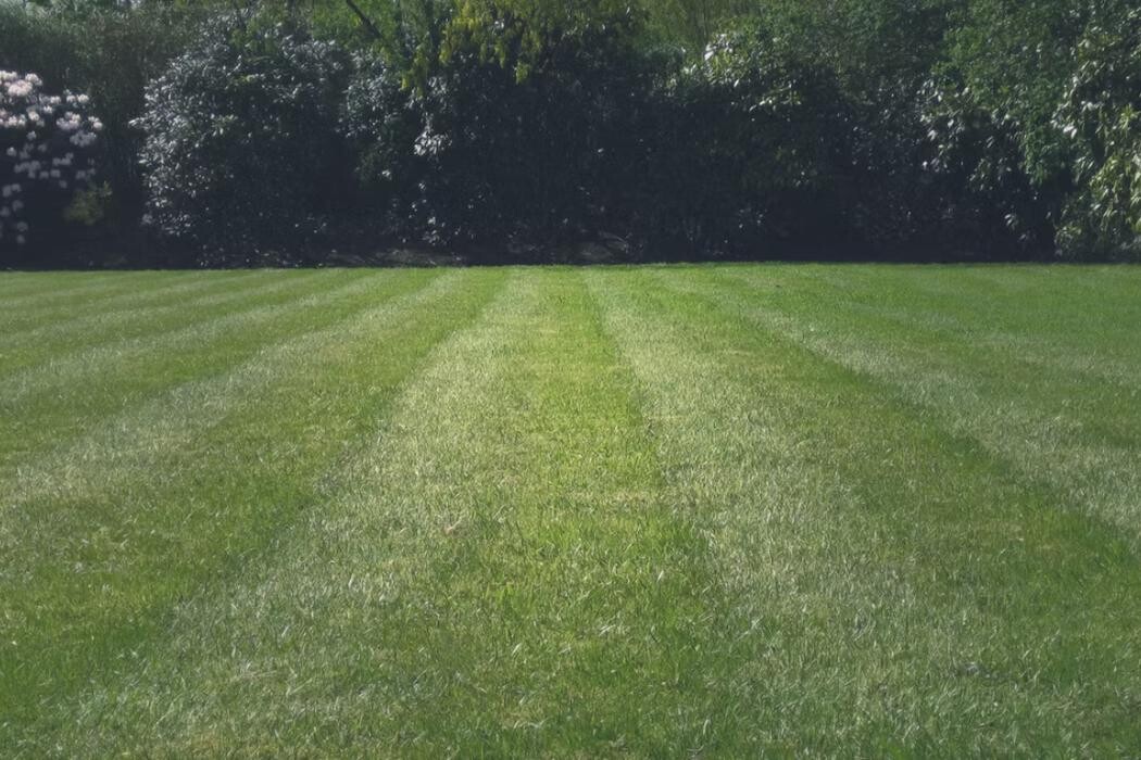 Images Calgary Level Up Landscaping Inc.