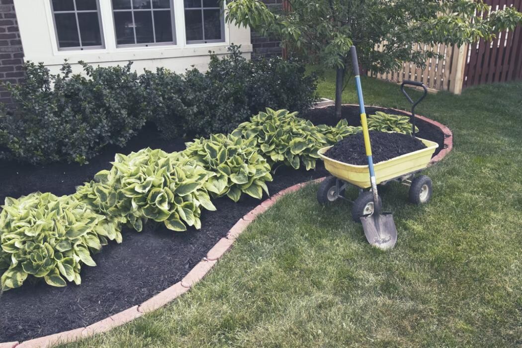 Images Calgary Level Up Landscaping Inc.