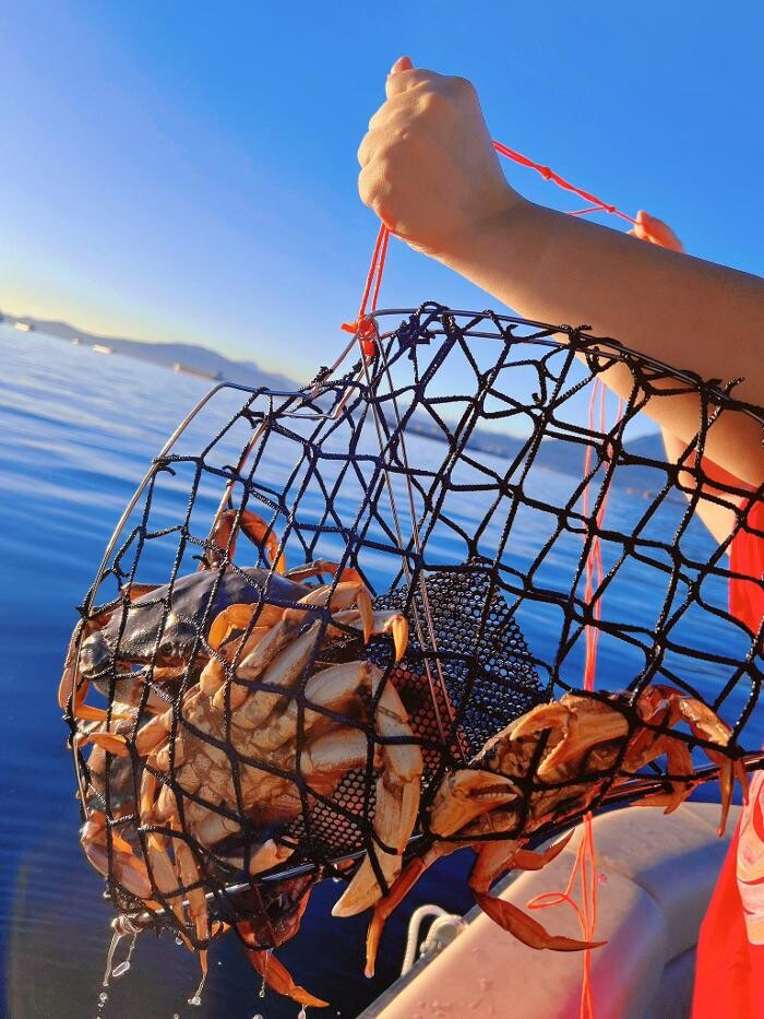 Images SeaSky Cruises Pontoon & Yacht Rental | Vancouver Private Boat Rental