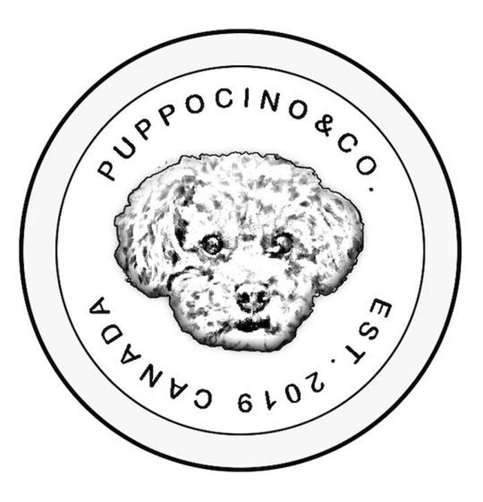 Images Puppocino Kennel