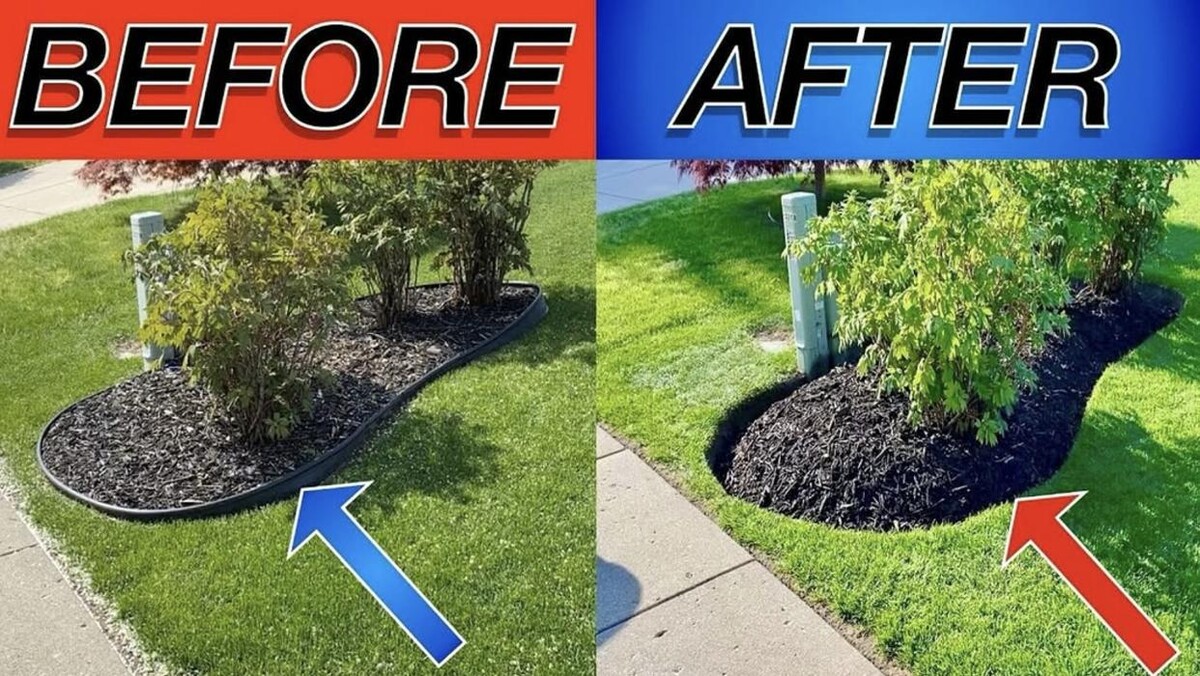 Images SB Landscaping, Decks and Fencing