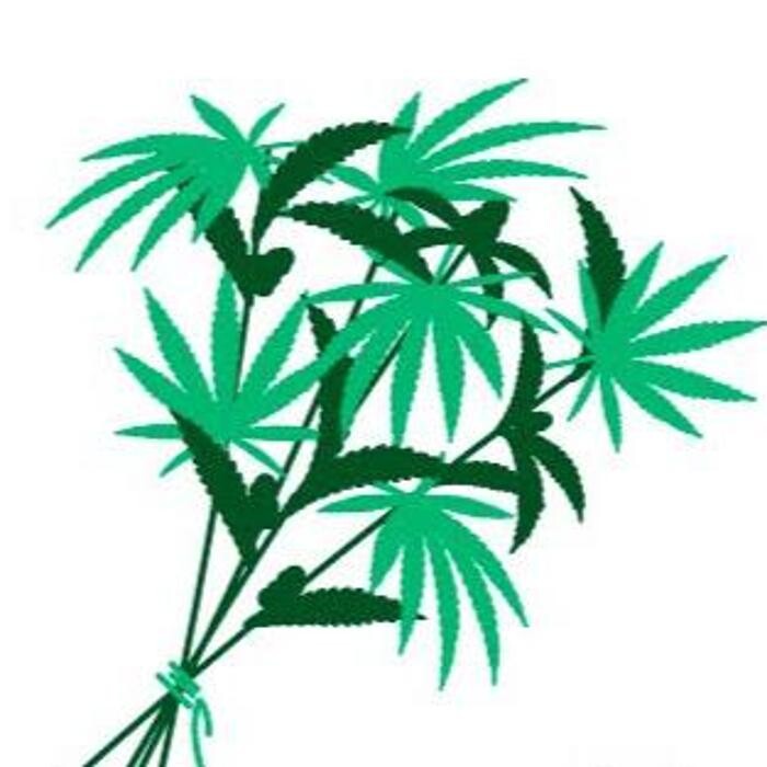The Green Bouquet Cannabis Inc Logo