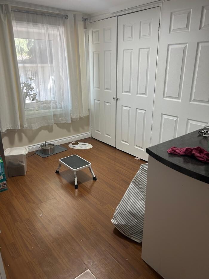 Images OA Cleaning