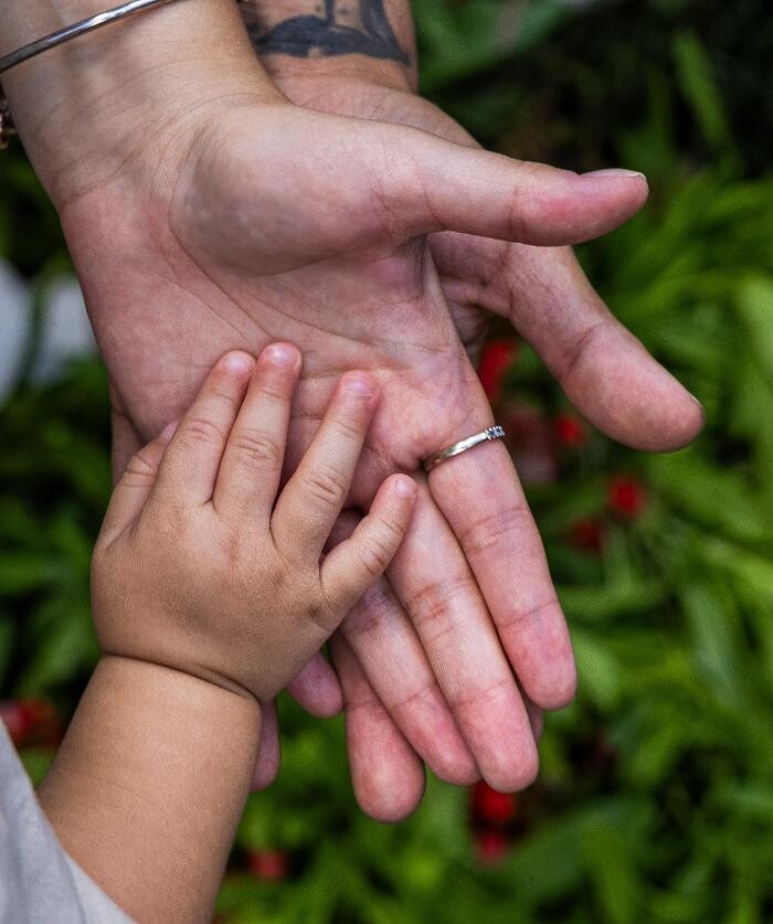 Images MagicCut Studios