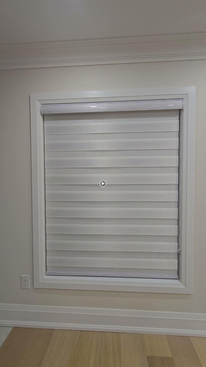 Images Zebra Blinds