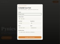 Website Screenshot Pynies Paws