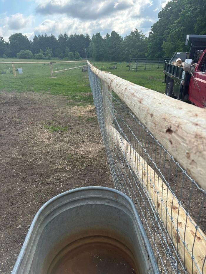Images Dave King Fencing