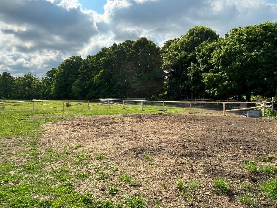 Images Dave King Fencing