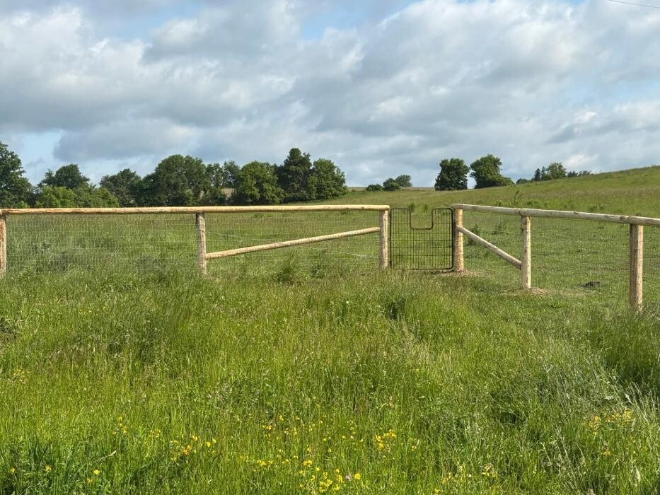 Images Dave King Fencing