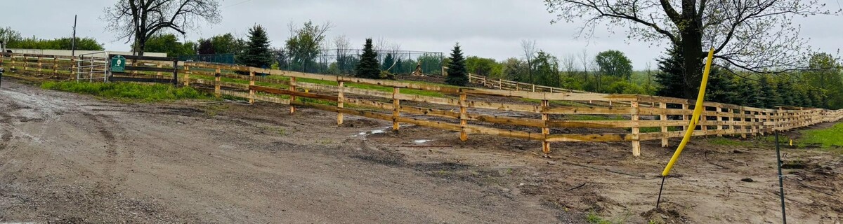 Images Dave King Fencing