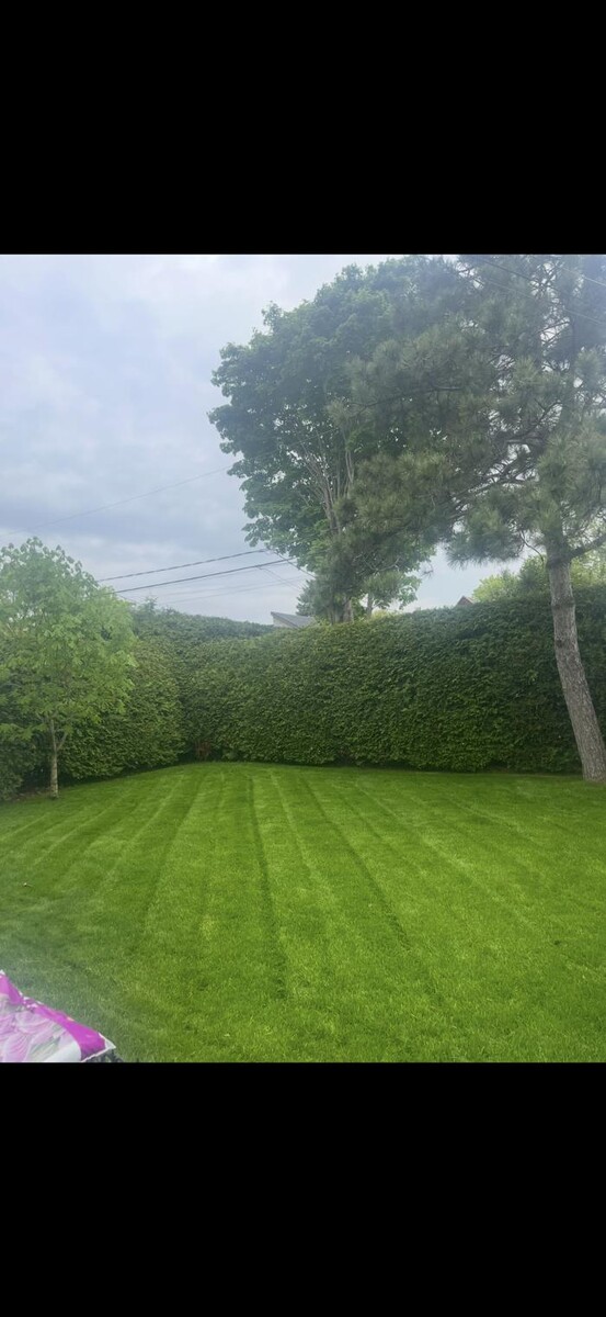 Images Service NeigePro