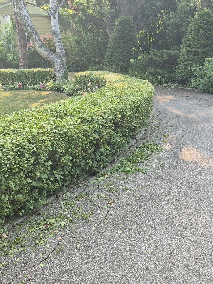 Images Speedstar Landscaping