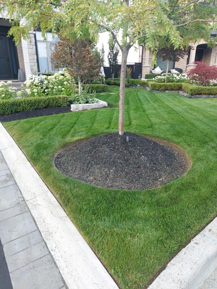 Images Speedstar Landscaping