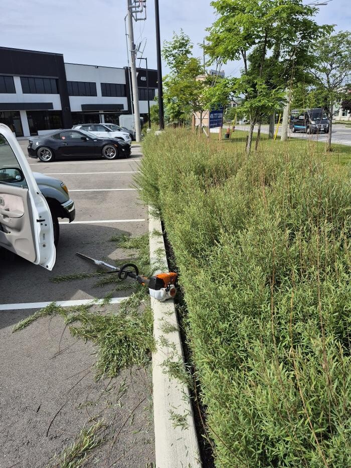 Images Speedstar Landscaping