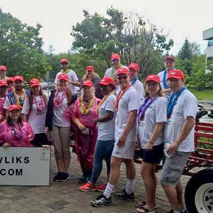 Images Pavliks Cyber Security & IT Services