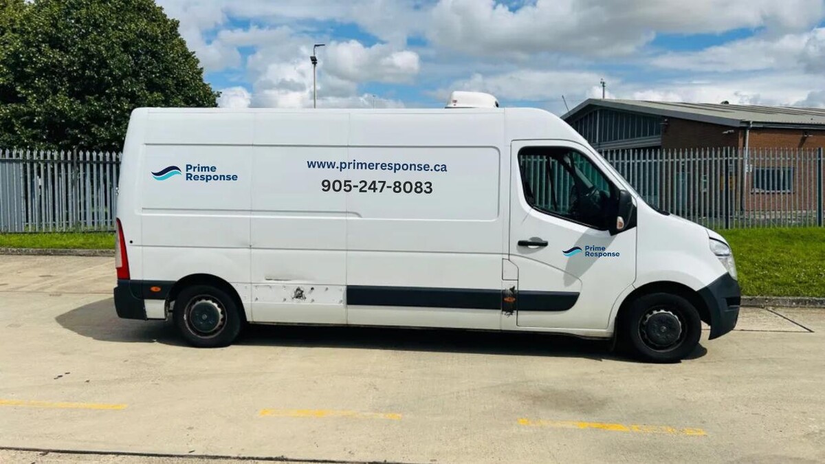 Images Prime Response