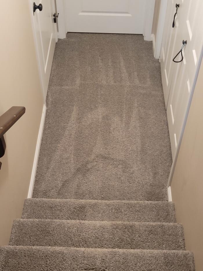 Images Carlys Clean