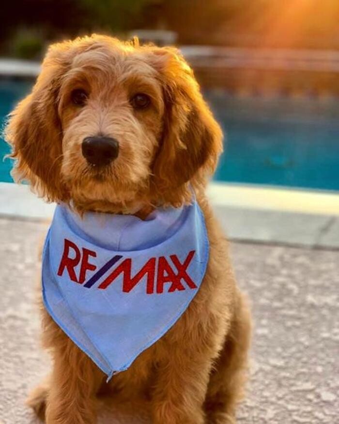 Images RE/MAX PRESTIGE