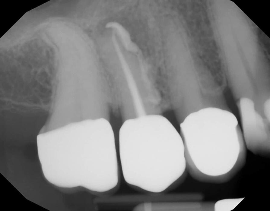 Images Dr. Elie M. Wolfson