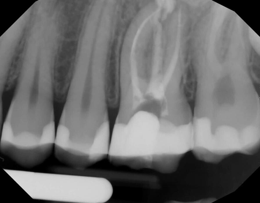 Images Dr. Elie M. Wolfson