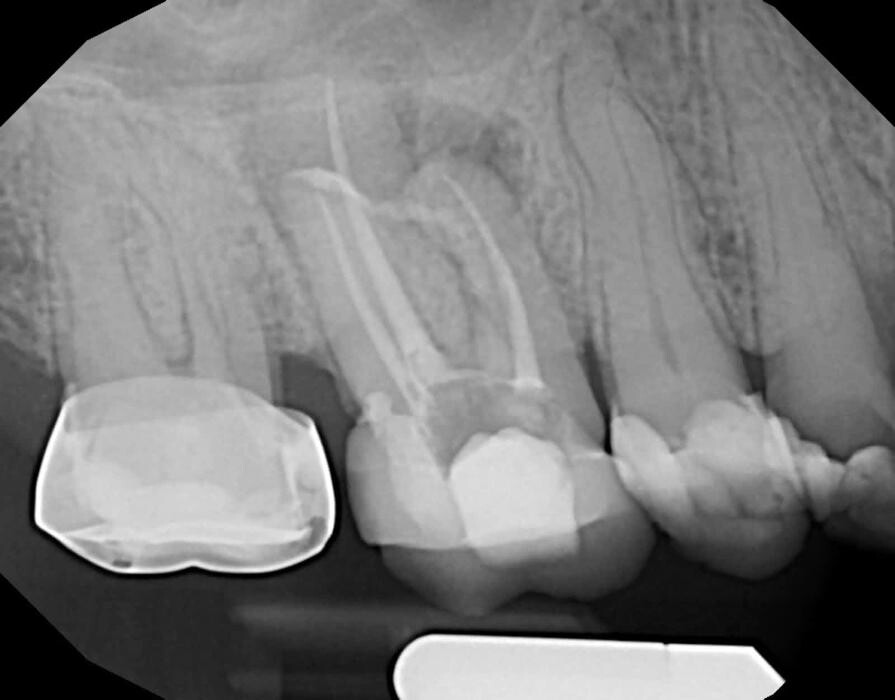 Images Dr. Elie M. Wolfson