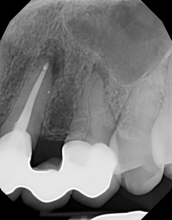 Images Dr. Elie M. Wolfson