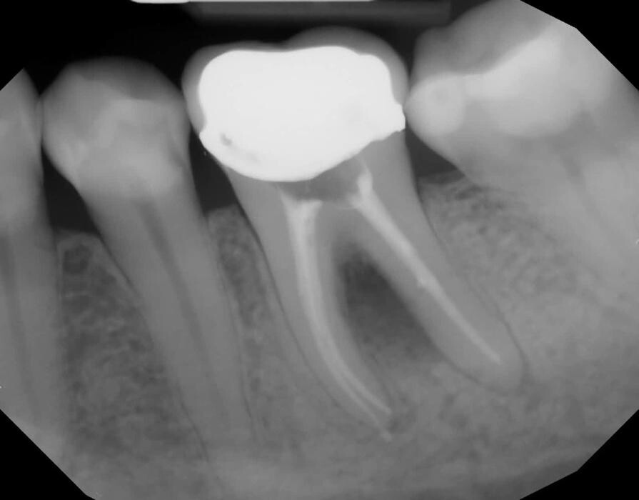 Images Dr. Elie M. Wolfson