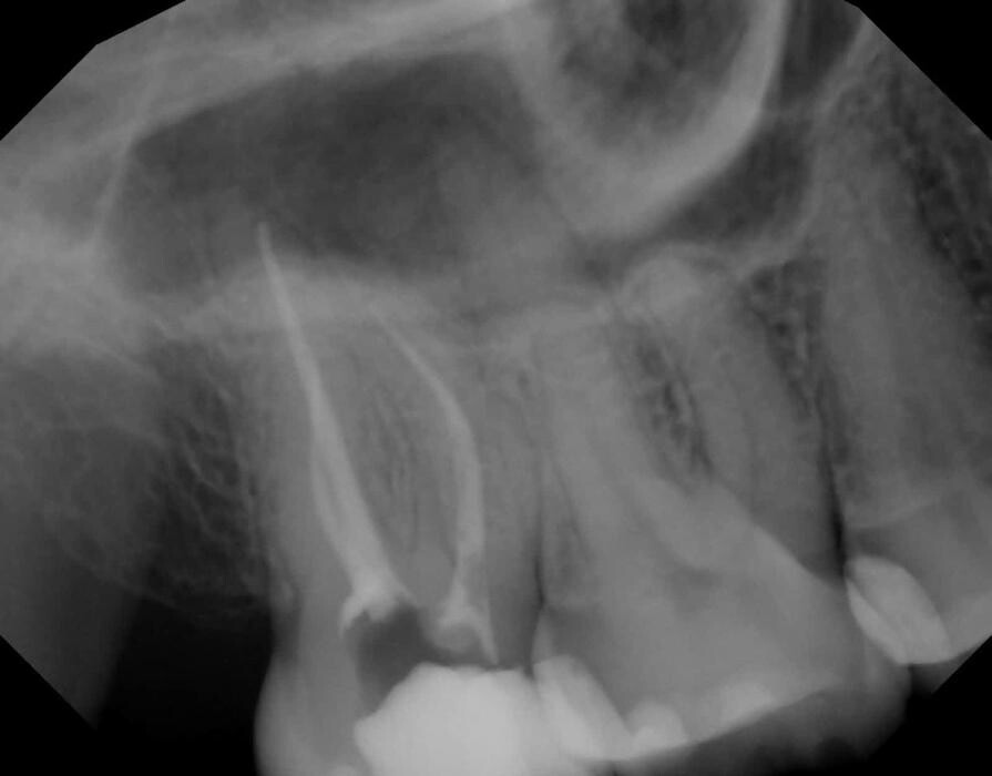 Images Dr. Elie M. Wolfson