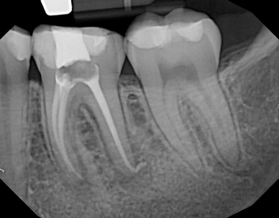 Images Dr. Elie M. Wolfson