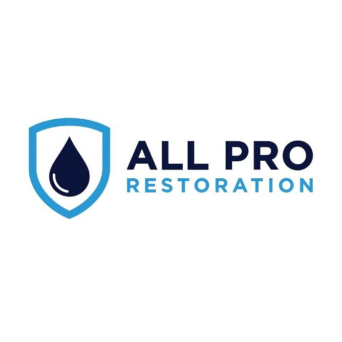 All Pro Restoration Logo