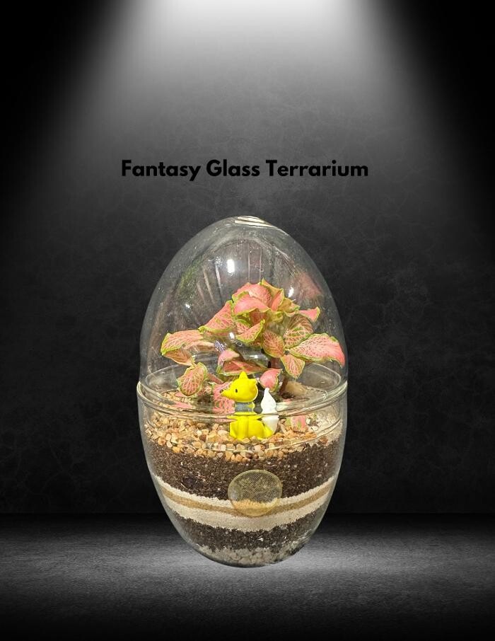 Images Fantasy Glass Terrarium