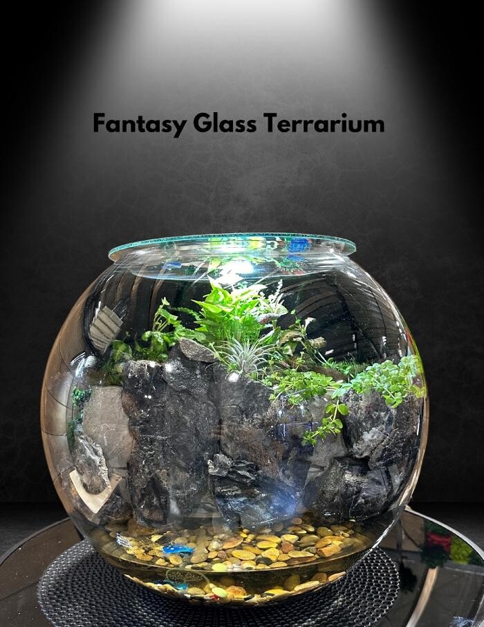 Images Fantasy Glass Terrarium