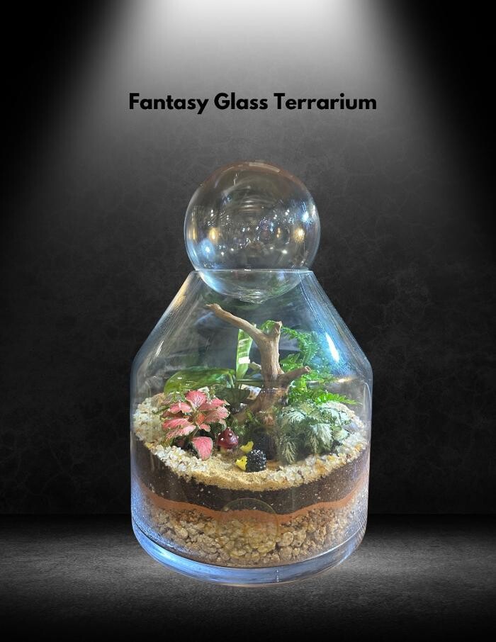 Images Fantasy Glass Terrarium