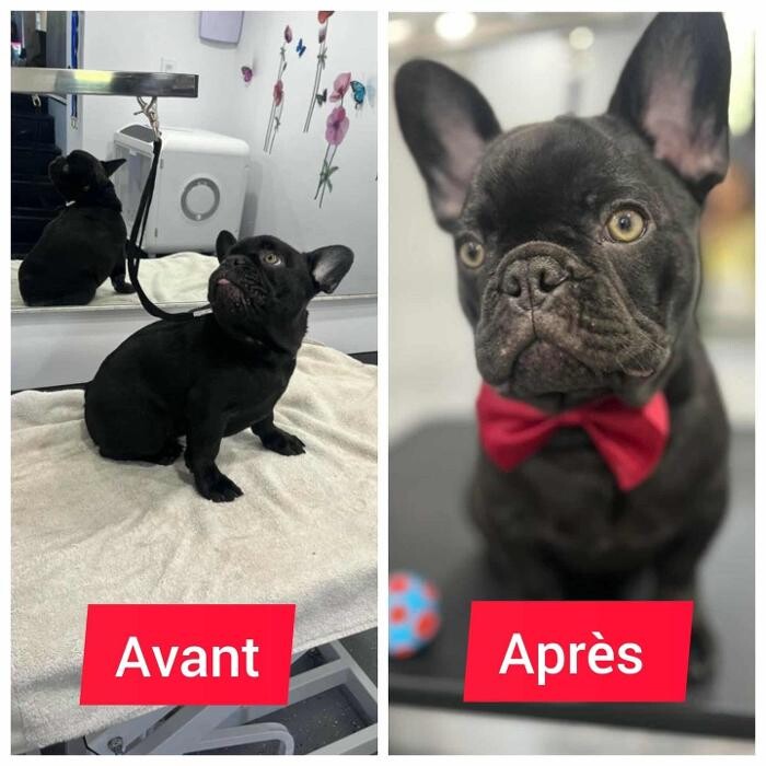 Images Le Purr Spaw