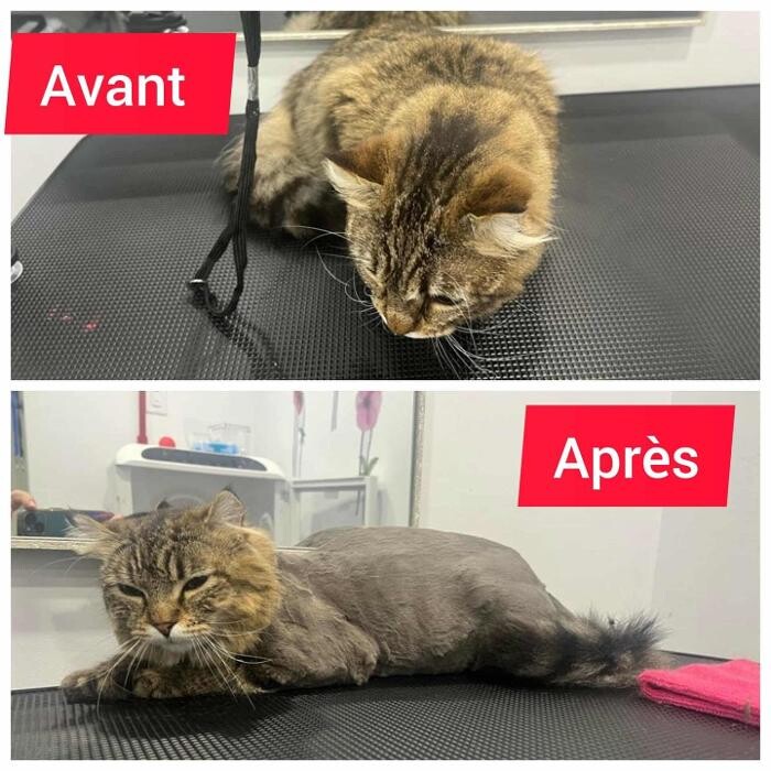 Images Le Purr Spaw