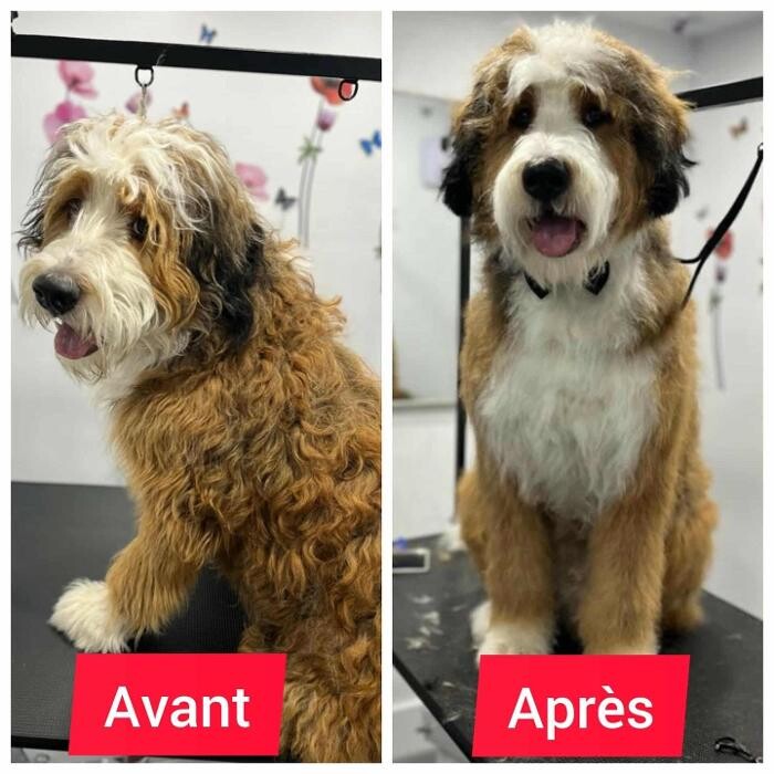 Images Le Purr Spaw